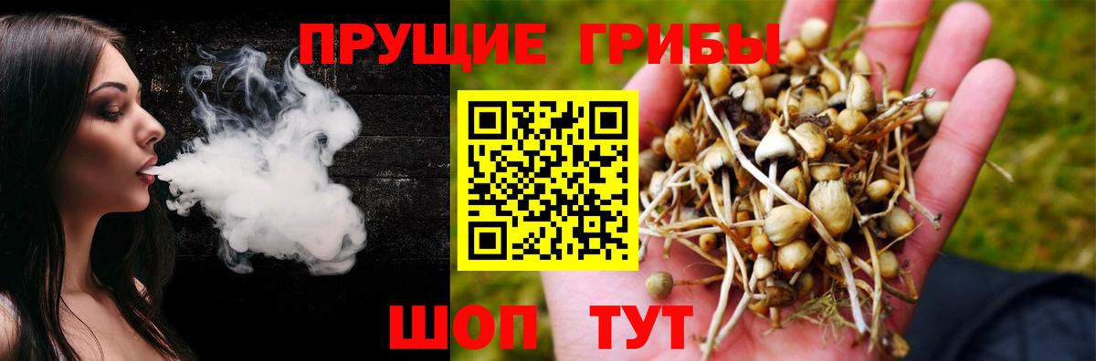 Канаш  Псилоцибиновые грибы Psilocybe  Галлюциногенные грибы GOLDEN TEACHER  Вход с VPN 